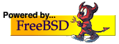 BSD Counter page